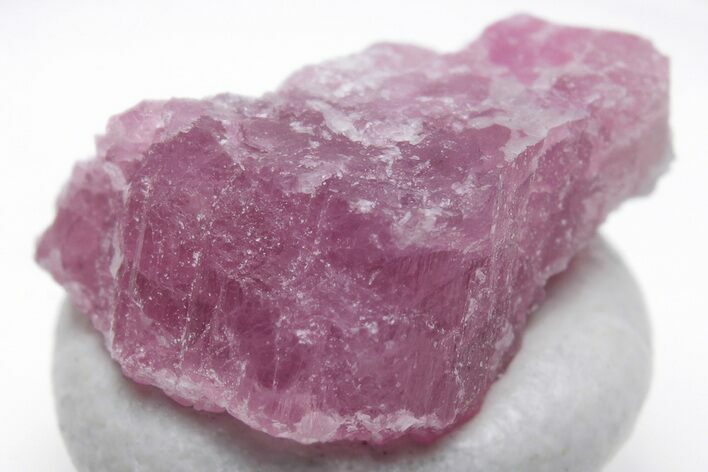 Pink Tourmaline (Rubellite) Crystal - Brazil #221615